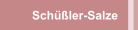 Schüßler-Salze